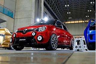 Project Twingo V6